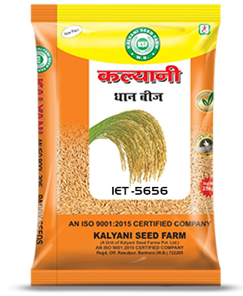 Kalyani Paddy Seeds