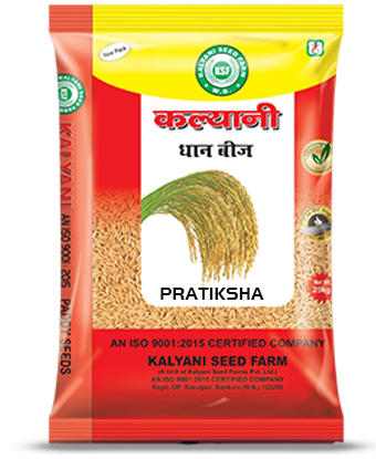 Kalyani Paddy Seeds