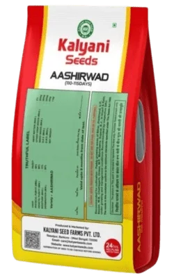 product_back_image