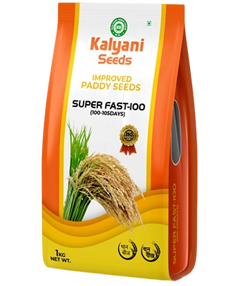 kalyani paddy seeds